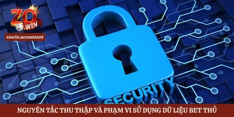 Nguyên tắc thu thập và phạm vi sử dụng dữ liệu bet thủ